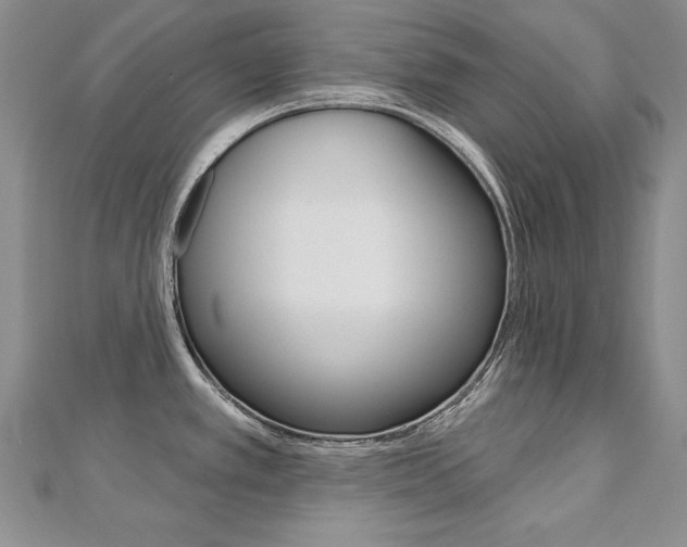 X0000112481389200908171003