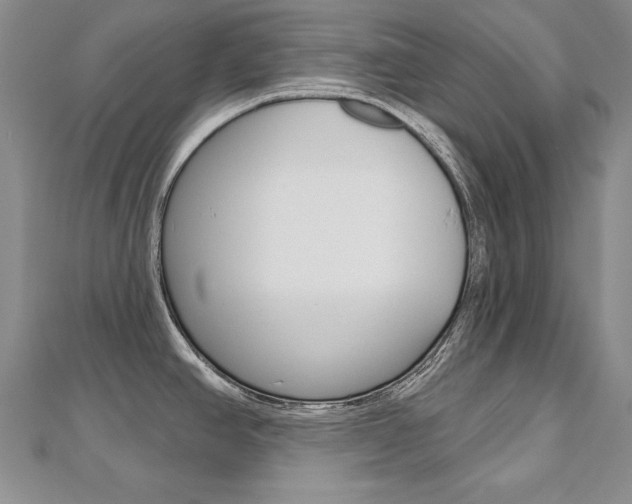 X0000112481390200908171003