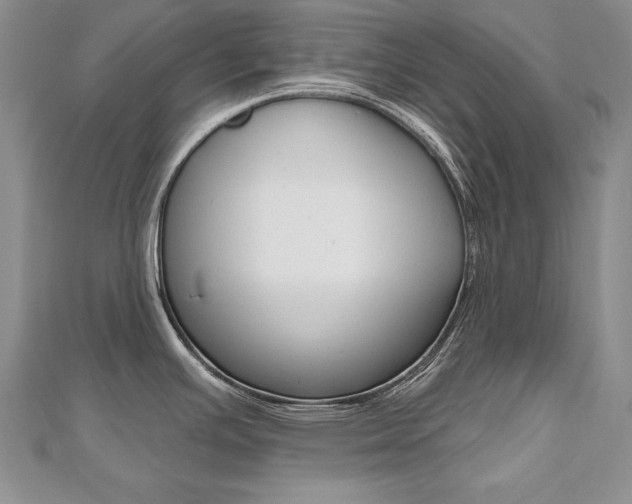 X0000112481391200908171003