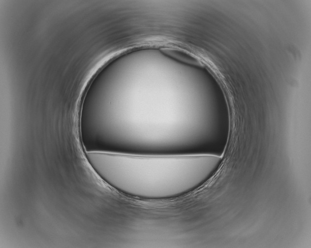 X0000112481392200908171003