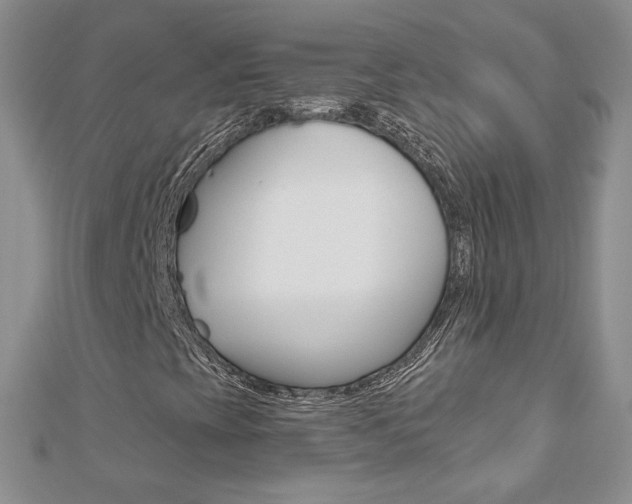 X0000112481393200908171002