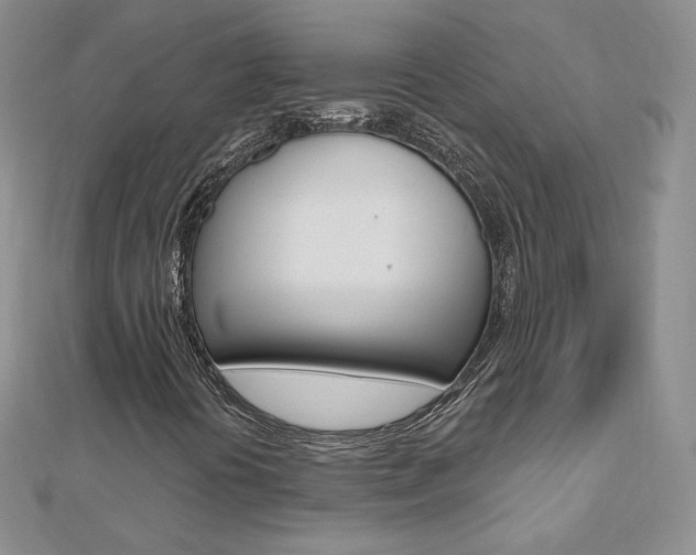 X0000112481394200908171002