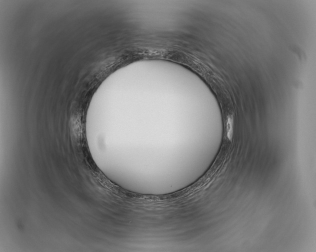 X0000112481395200908171002