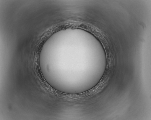 X0000112481397200908171002