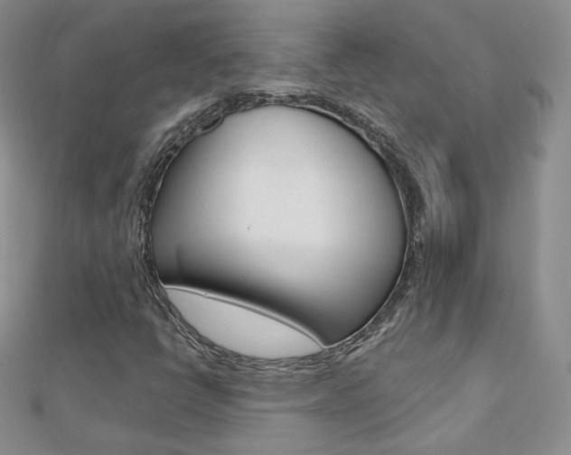 X0000112481398200908171002