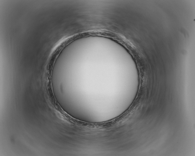 X0000112481400200908171002