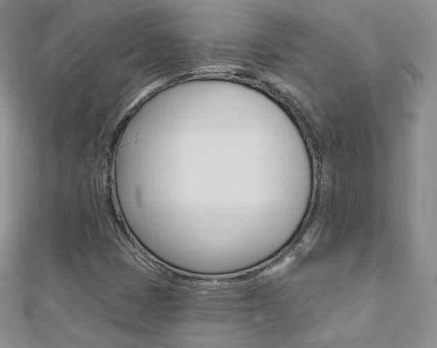 X0000112481401200908171002