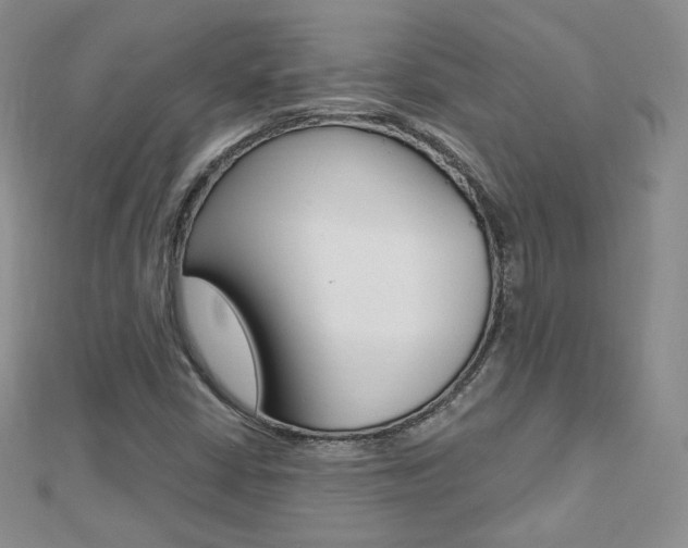 X0000112481402200908171002