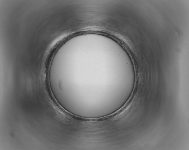 X0000112481406200908171002