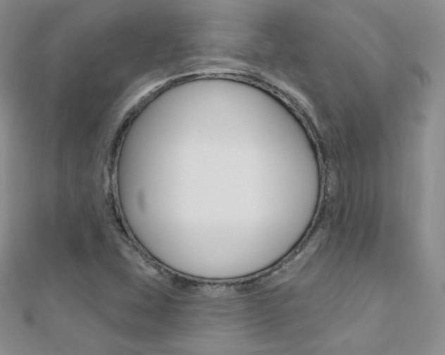 X0000112481407200908171002