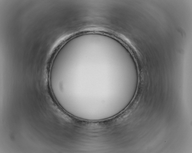 X0000112481408200908171002