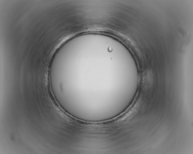 X0000112481409200908171002