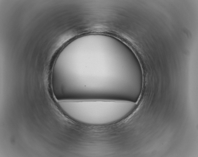 X0000112481410200908171002