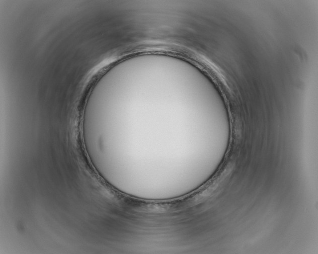 X0000112481411200908171002