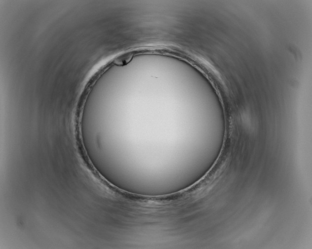 X0000112481412200908171002