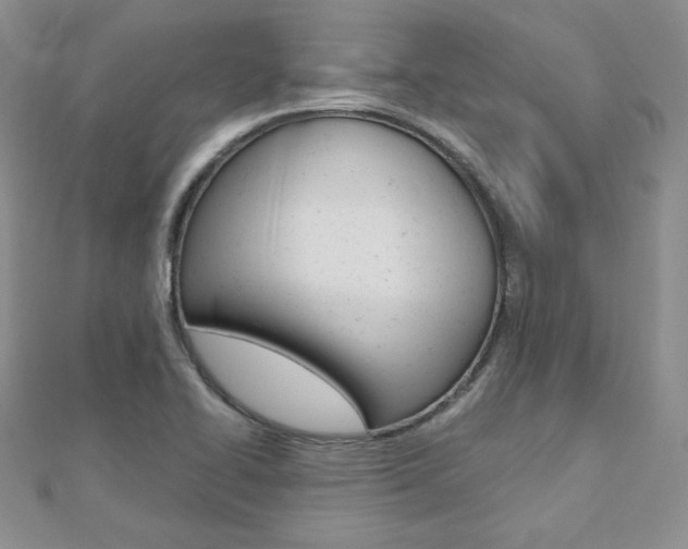 X0000112481414200908171002