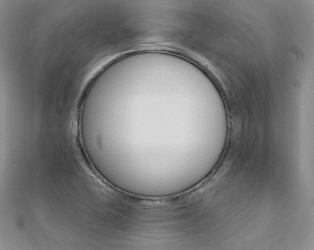 X0000112481415200908171002