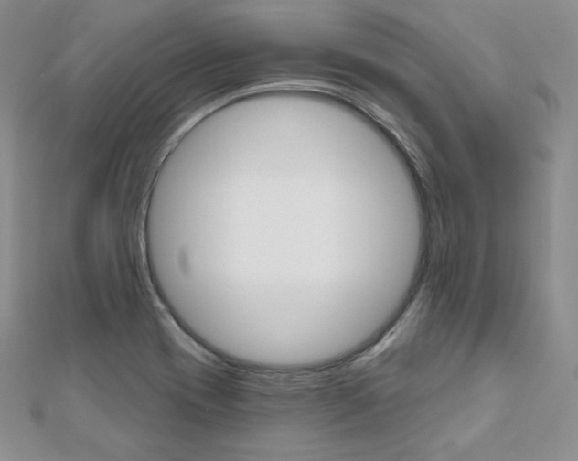 X0000112481417200908171002