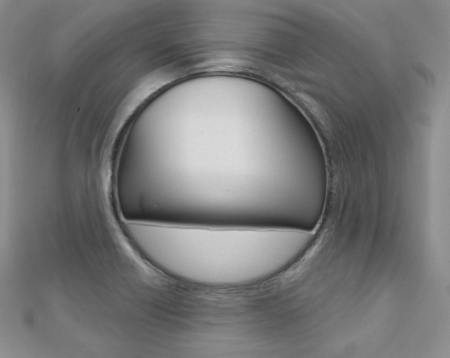 X0000112481418200908171002