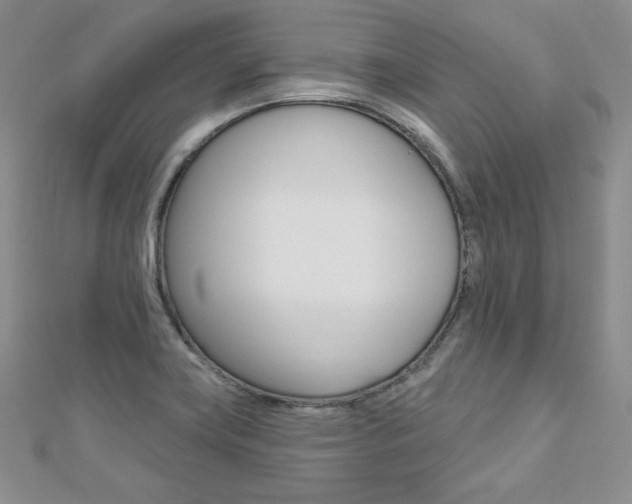 X0000112481419200908171002