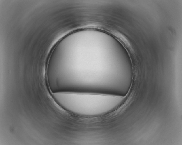 X0000112481420200908171002