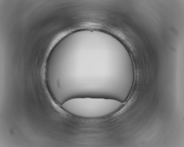 X0000112481421200908171002