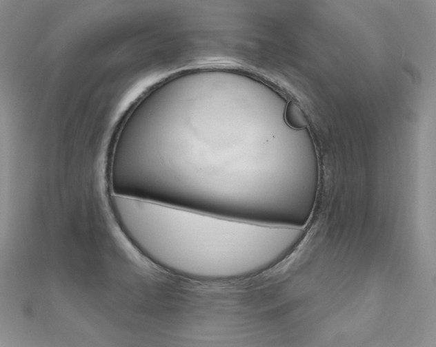 X0000112481422200908171002