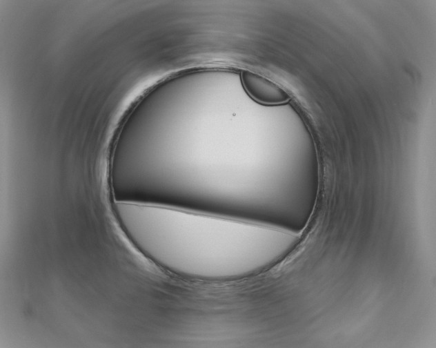 X0000112481424200908171002