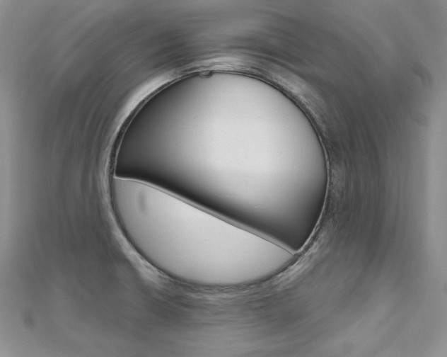 X0000112481426200908171002