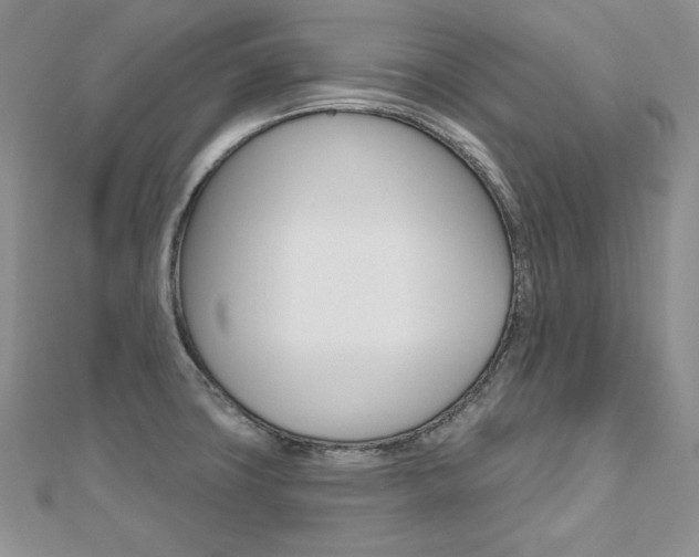 X0000112481427200908171002