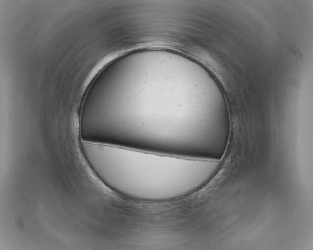 X0000112481428200908171002