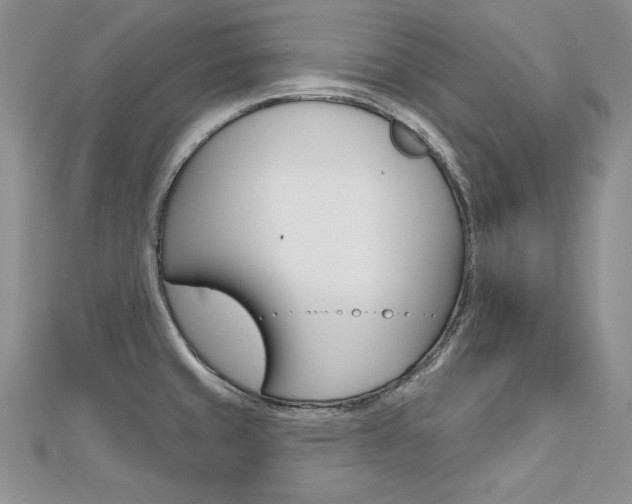 X0000112481429200908171002