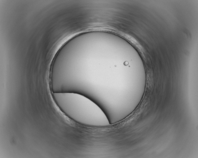 X0000112481431200908171002