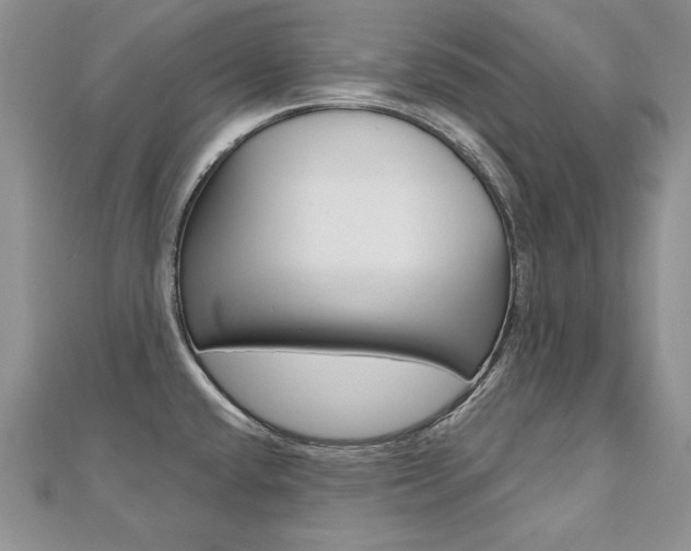 X0000112481432200908171002