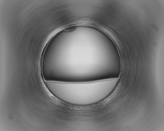 X0000112481434200908171002