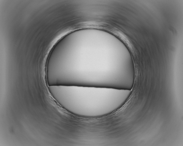 X0000112481435200908171002
