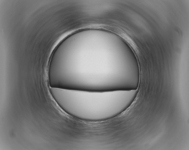 X0000112481436200908171002