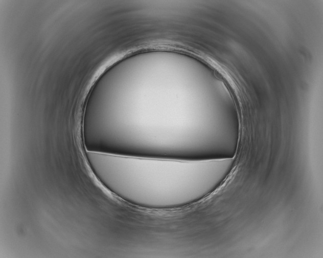 X0000112481437200908171002