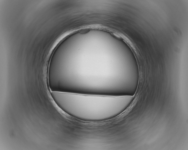 X0000112481438200908171002