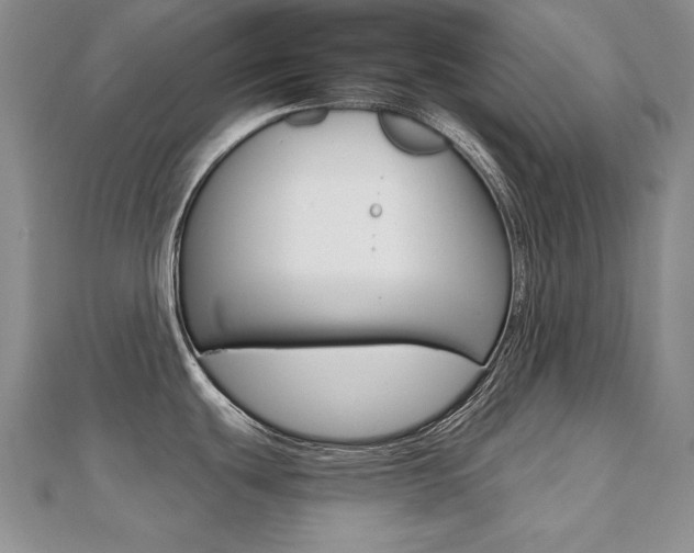X0000112481439200908171003
