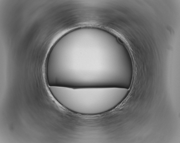 X0000112481440200908171003