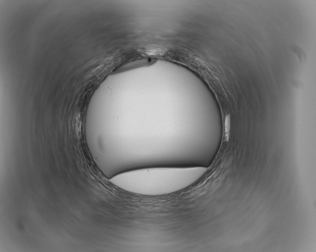X0000112481443200908171002