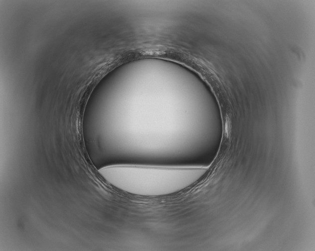 X0000112481444200908171002