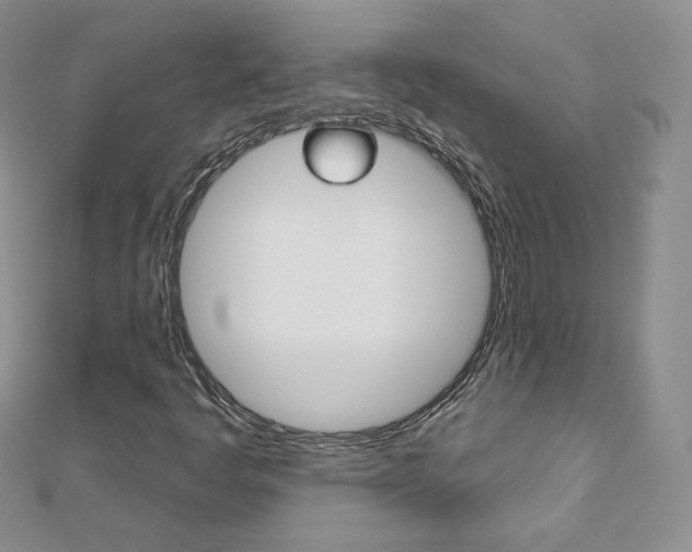 X0000112481445200908171002