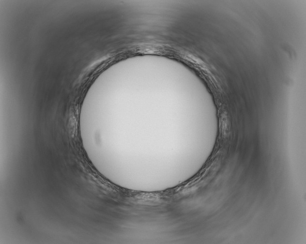 X0000112481446200908171002