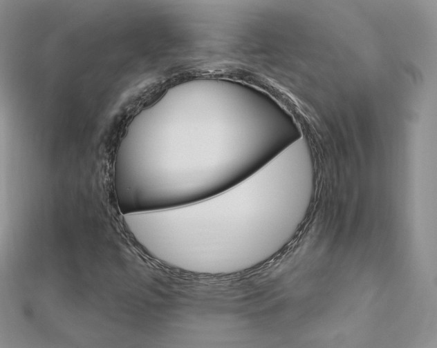 X0000112481447200908171002