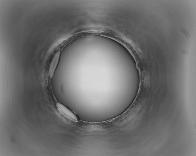 X0000112481448200908171002