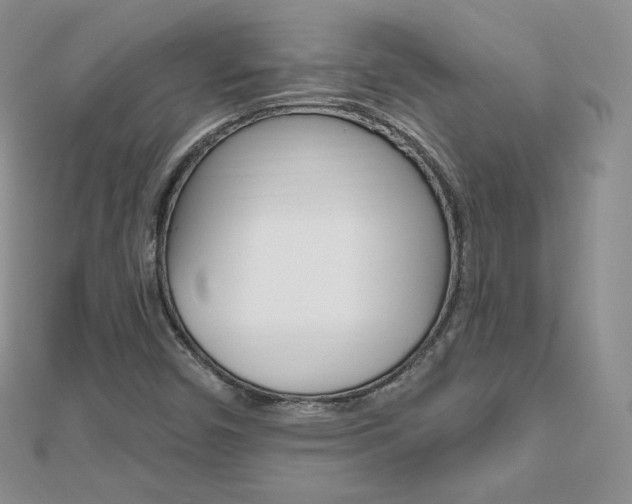 X0000112481450200908171002