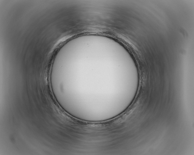 X0000112481451200908171002