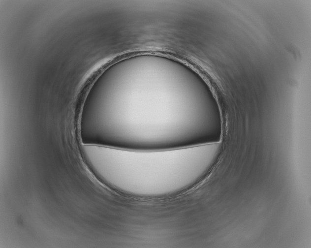 X0000112481452200908171002
